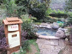 -黄山温泉国际旅游度假区