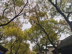 -惠山古镇·寄畅园