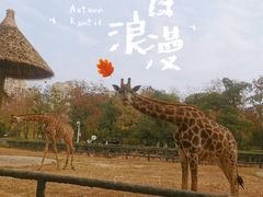 -南昌动物园