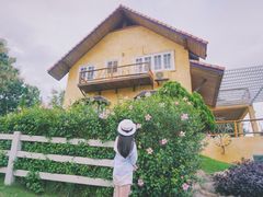 -黄色小屋