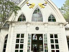 -史努比缤纷世界