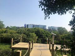 -华侨城湿地公园
