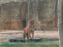 -秦皇岛野生动物园