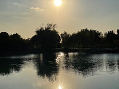 -贡湖湾湿地公园