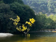 -少华山国家森林公园