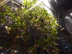 -宝翠花园餐厅(沙湖店)