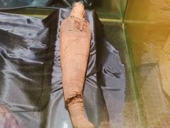 -信不信由你博物馆
