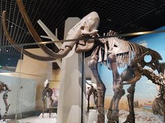 -国家自然博物馆