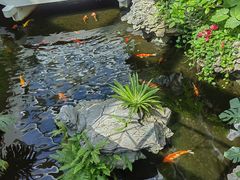 -广州白天鹅宾馆