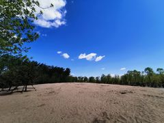 -东郊湿地公园