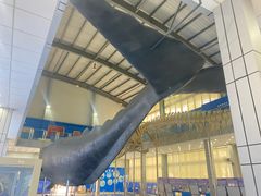 -上海海洋大学鱼文化博物馆(军工路校区)