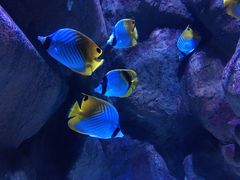 -成都浩海立方海洋公园