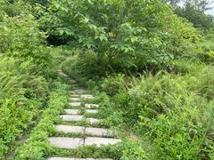 -桤木河湿地公园