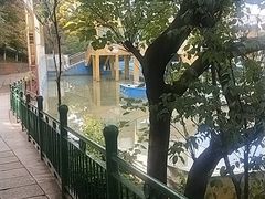 -昆明动物园