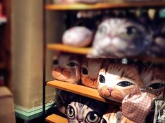 -猫咪博物馆(顶澳仔猫街店)