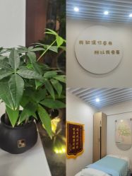 -禾壹净·素颜美问题肌肤修护中心