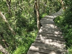 -白草畔自然风景区