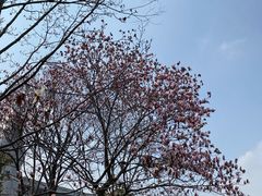 -很久以前羊肉串(昌里路三钢里店)