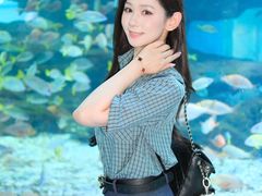 -海合安武汉极地海洋公园