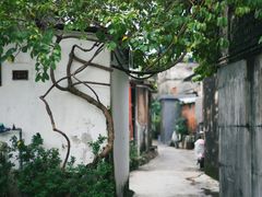-三溪村