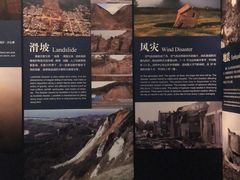 -烟台自然博物馆
