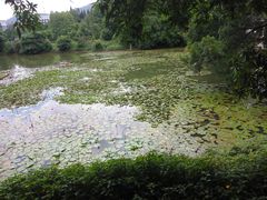 -四海公园(南山区)