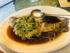 清蒸鲈鱼-和平官邸·花园餐厅(武定西路店)