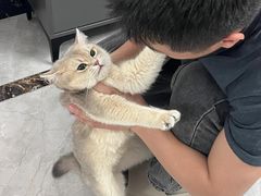 -爱侣宠医·鹦鹉专科·小型哺乳类·异宠专科(灵石路店)