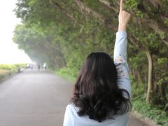 -大湾区中央湿地公园