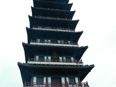 -宜兴龙背山森林公园