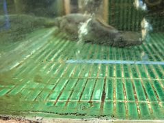 -鱼你相聚·河鲜馆(袁家岭店)