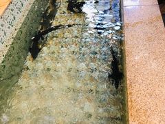 -荣德灶台鱼(圣泉寺店)