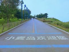 -小麦岛公园