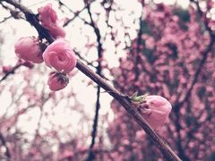 -陕西师范大学(雁塔校区)