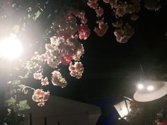 -沪小胖小龙虾(淮海中路旗舰店)