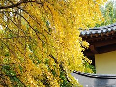 -郑和公园