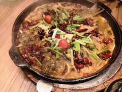 -老板恋上鱼(印象城店)