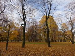 -滴血救世主教堂