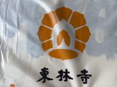 -庐山风景名胜区-东林大佛