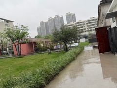 -石岐鸽师傅餐厅(石岐总店)