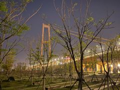 -武汉关码头(轮渡站)