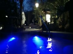 android_upload_pic-南京汤山紫清湖生态旅游温泉度假区