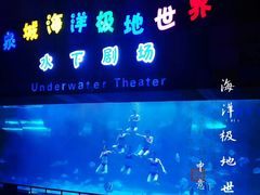 -泉城欧乐堡海洋极地世界