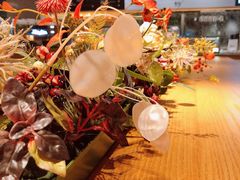 -Bco豆库(星耀天地店)