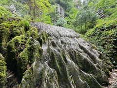 -梭布垭石林景区