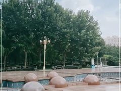 -西清公园