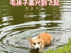 -圣露庄园·亲子活动乐园·露营·团建婚礼