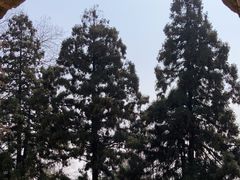 -莫干山风景区