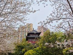 -堤角公园