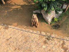 -石家庄市动物园